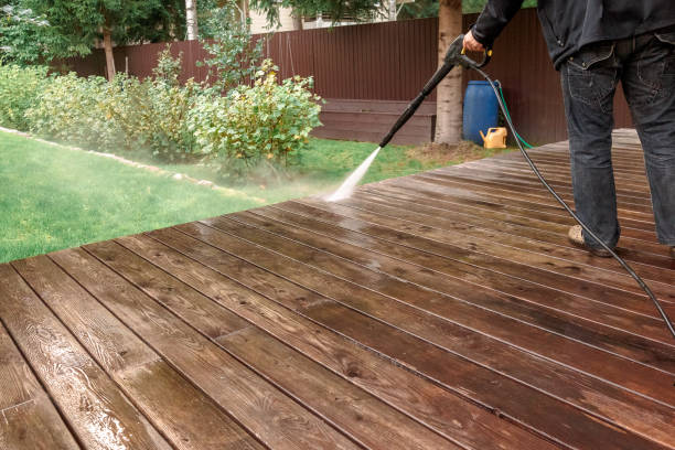 Best Boat and Dock Cleaning  in Woodland Beach, MI
