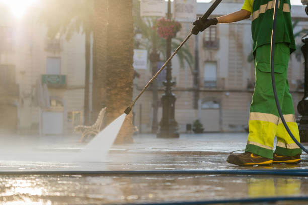 Best Fleet Vehicle Washing  in Woodland Beach, MI